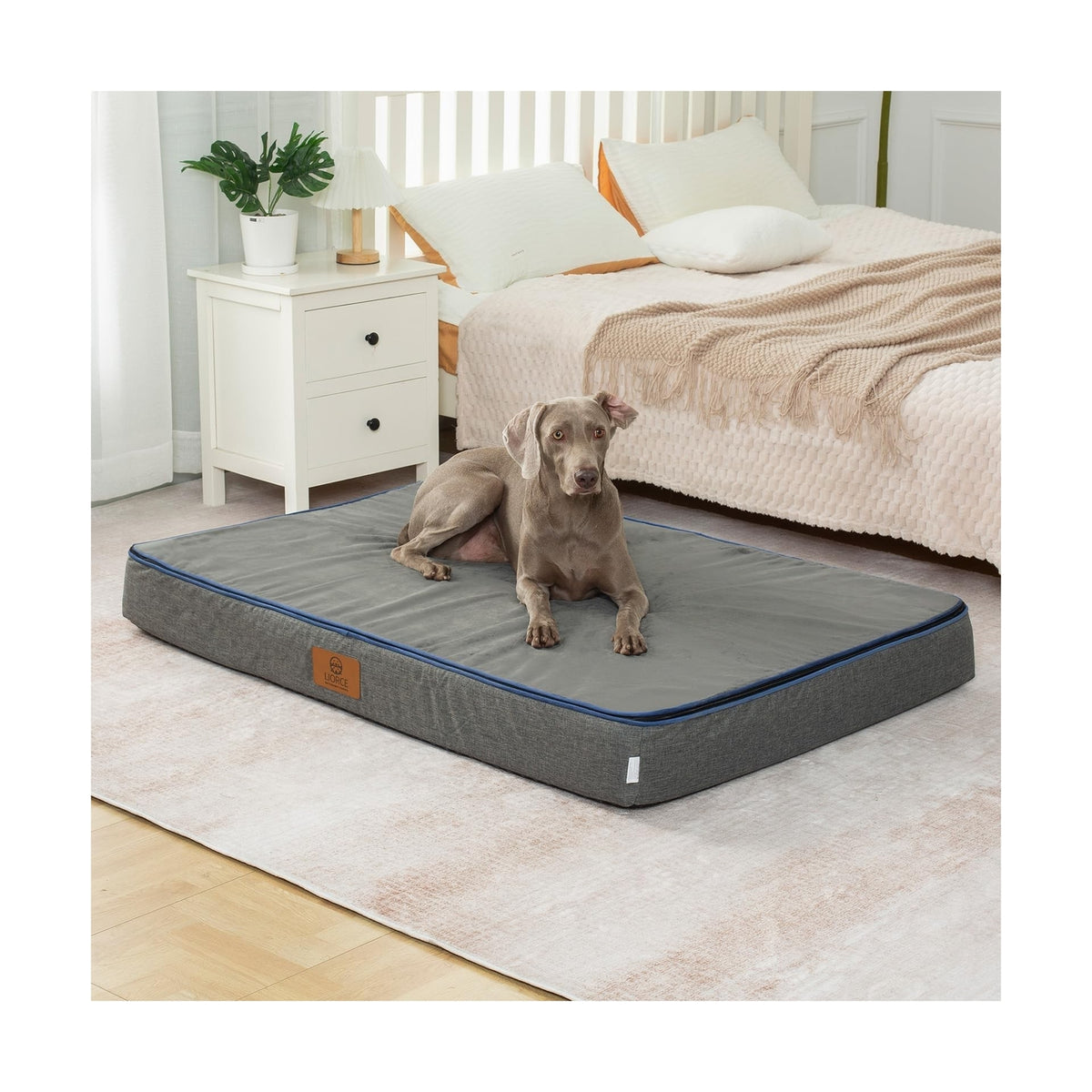 Memory Foam Giant Dog Bed - 6" Thick Orthopedic Dog Bed for Extra Large Dogs ...