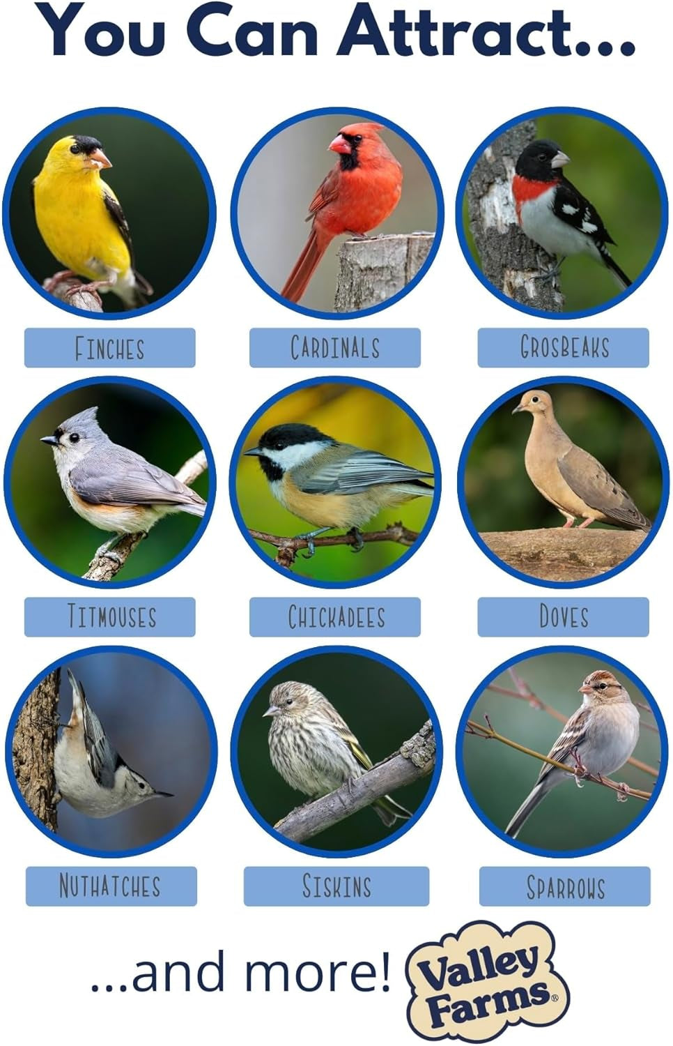 Hi-Flite Wild Bird Food - Best Seed Value for All Species of Birds for outside Bird Feeders (20 LB)