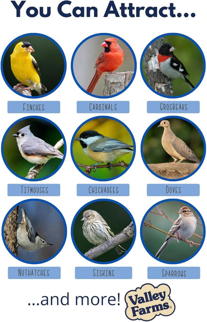 Hi-Flite Wild Bird Food - Best Seed Value for All Species of Birds for outside Bird Feeders (20 LB)