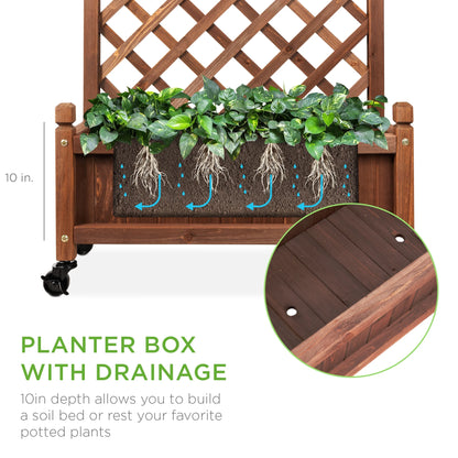 Set of 2 48In Wood Planter Box & Diamond Lattice Trellis, W/ Drainage, Optional Wheels - Walnut