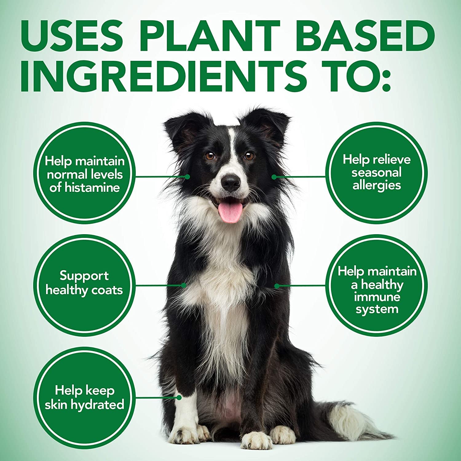 Healthy Coat Shed & Itch Relief for Dogs, Relieve Dogs Skin Irritation and Shedding Due to Seasonal Allergies or Dermatitis, 150 Chewable Tablets