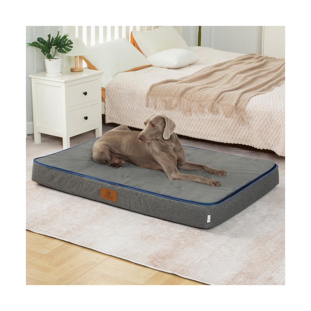 Memory Foam Giant Dog Bed - 6" Thick Orthopedic Dog Bed for Extra Large Dogs ...