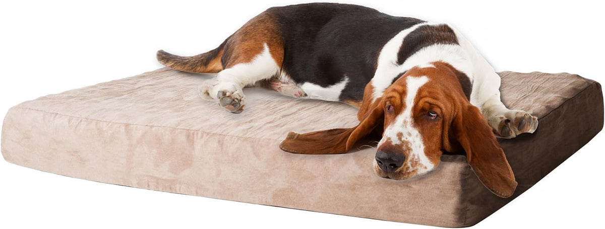 Memory Foam Dog Bed Collection– 2-Layer Orthopedic Dog Bed with Machine Washable Cover - Dog Bed for Large Dogs up to 95Lbs by  (Tan)