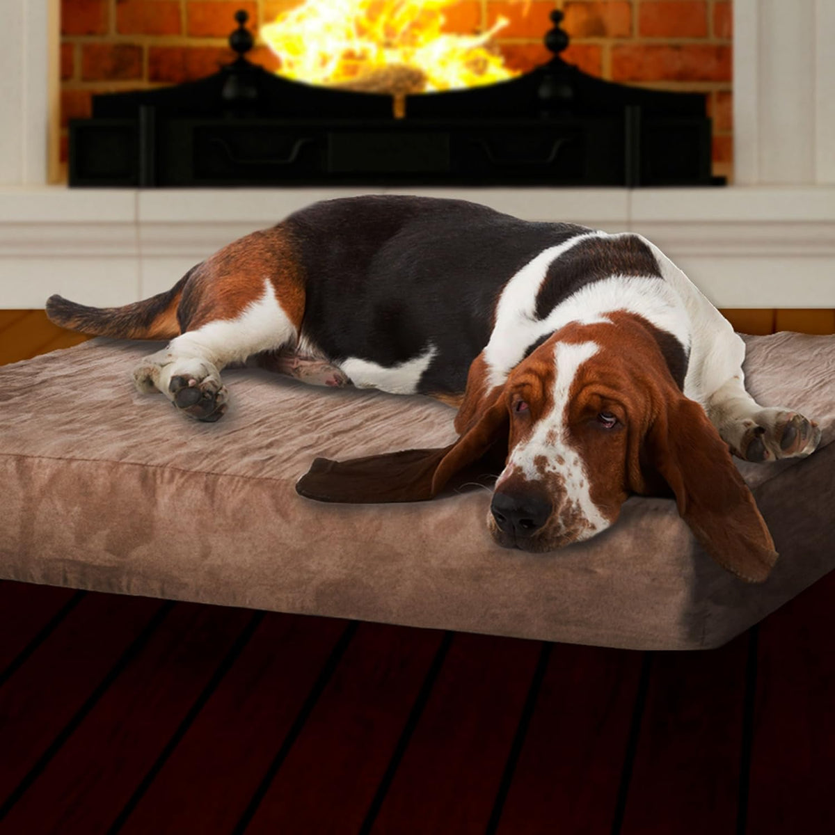 Memory Foam Dog Bed Collection– 2-Layer Orthopedic Dog Bed with Machine Washable Cover - Dog Bed for Large Dogs up to 95Lbs by  (Tan)