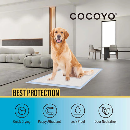 Best Value A37 Training Pads,30"X36", XXL-40 Count,Super Absorbent Puppy Pads,Blue