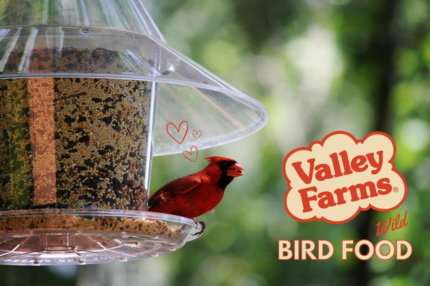Hi-Flite Wild Bird Food - Best Seed Value for All Species of Birds for outside Bird Feeders (20 LB)