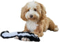Skinneeez Skunk Dog Toy – Soft No Stuffing Dog Toy with Squeaker, for Small & Medium Dogs, Best for Light to Moderate Chewers, 14In