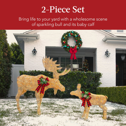 2-Piece Moose Family Lighted Christmas Yard Decor Set W/ 170 LED Lights, Stakes, Zip Ties - Gold