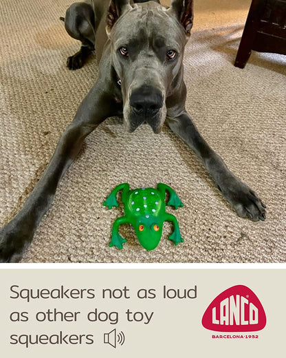 Large Squeaky Frog Dog Toys. 100% Natural Rubber (Latex). Large Breeds Free from Harmful Chemicals. Soft & Squeaky. Best Dog Toy for Large Dog