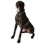 Dog Cooling Vest and Cooling Collar - Ice Vest for Dogs (XL) XL