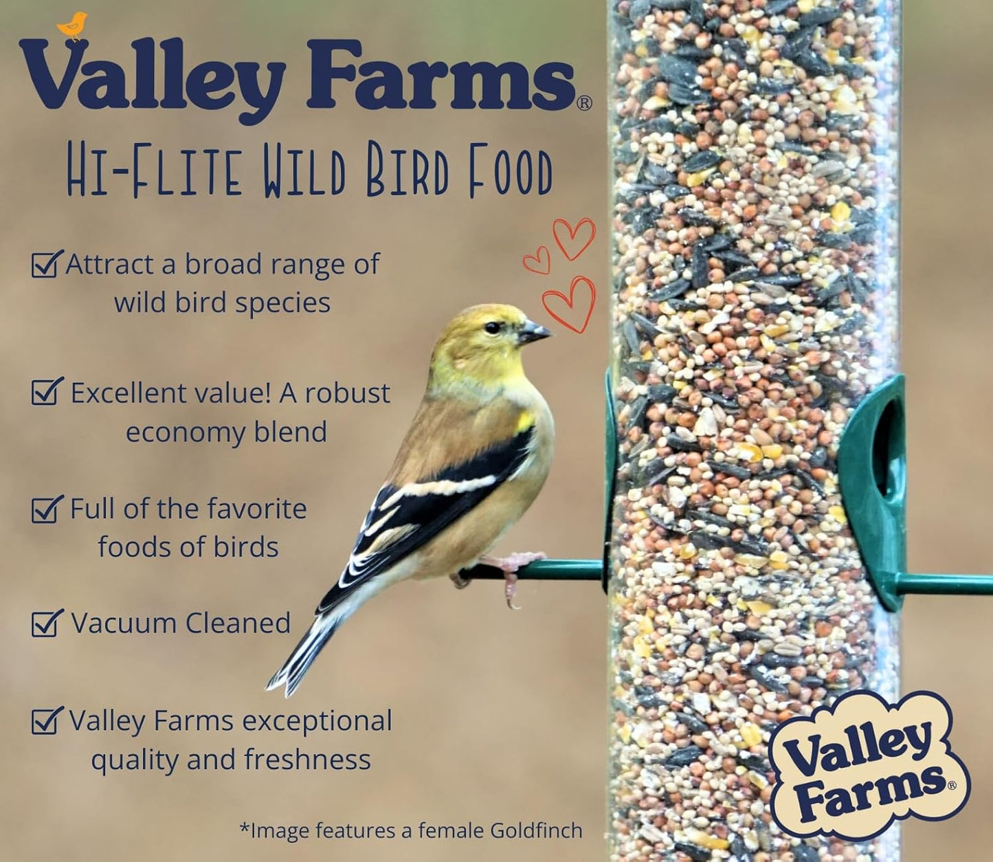 Hi-Flite Wild Bird Food - Best Seed Value for All Species of Birds for outside Bird Feeders (20 LB)