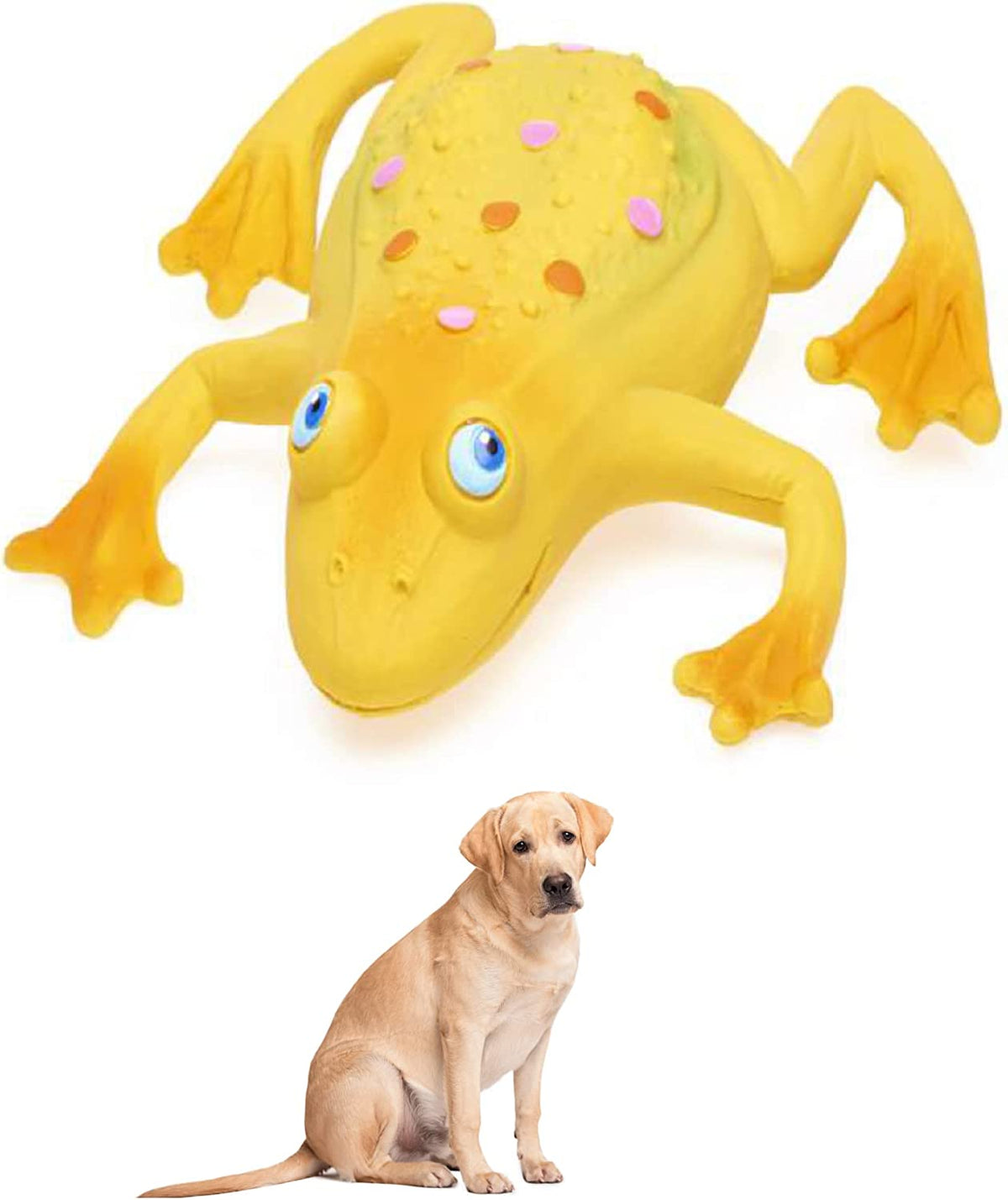 Large Squeaky Frog Dog Toys. 100% Natural Rubber (Latex). Large Breeds Free from Harmful Chemicals. Soft & Squeaky. Best Dog Toy for Large Dog