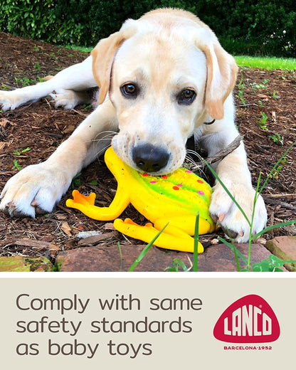 Large Squeaky Frog Dog Toys. 100% Natural Rubber (Latex). Large Breeds Free from Harmful Chemicals. Soft & Squeaky. Best Dog Toy for Large Dog