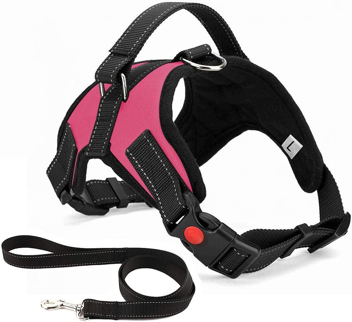 No Pull Dog Harness, Breathable Adjustable Comfort, Free Leash Included, for Small Medium Large Dog, Best for Training Walking