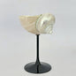 Originality Conch Wine Glass Goblet Handmade Banquet Natural Metal Glass Polishing Decoration Ornament Gift for Bar