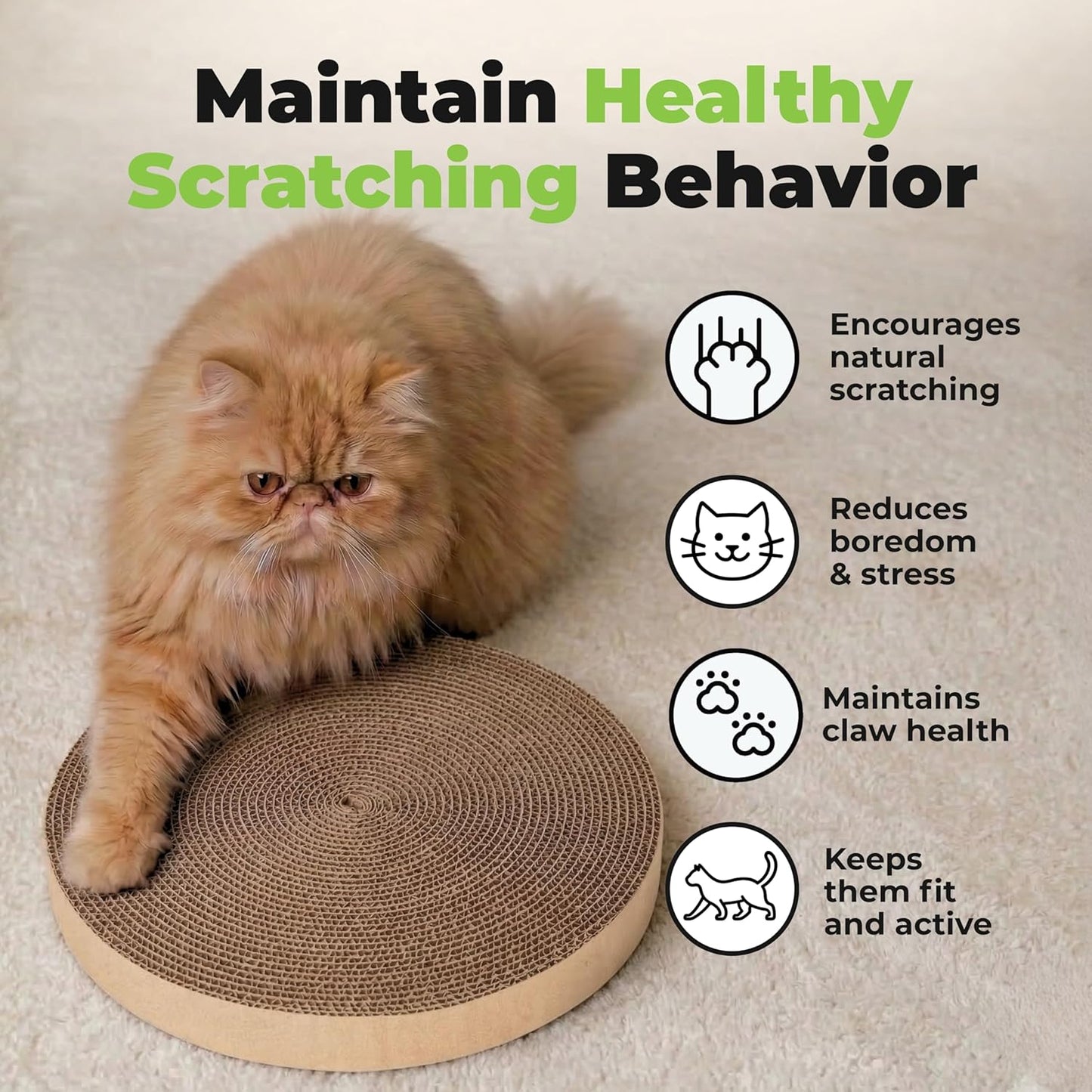 Catify Cat Scratcher, Fun Interactive Scratchers, Posts, Poles, Claw Safe, Furniture Saver Indoor Play Support Natural Cat Behaviors Heavy Duty - Round(5 Pack)