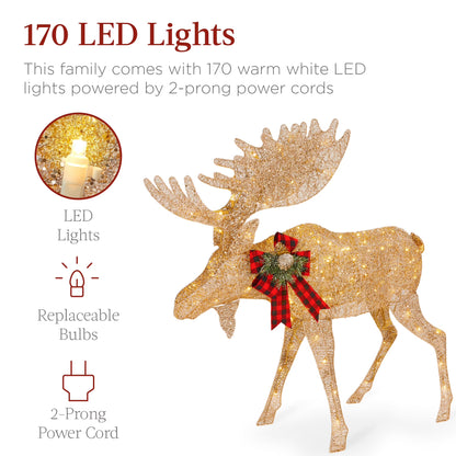 2-Piece Moose Family Lighted Christmas Yard Decor Set W/ 170 LED Lights, Stakes, Zip Ties - Gold
