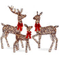 3-Piece Lighted Christmas Deer Set Outdoor Yard Decoration W/ 360 LED Lights, Stakes - Rattan