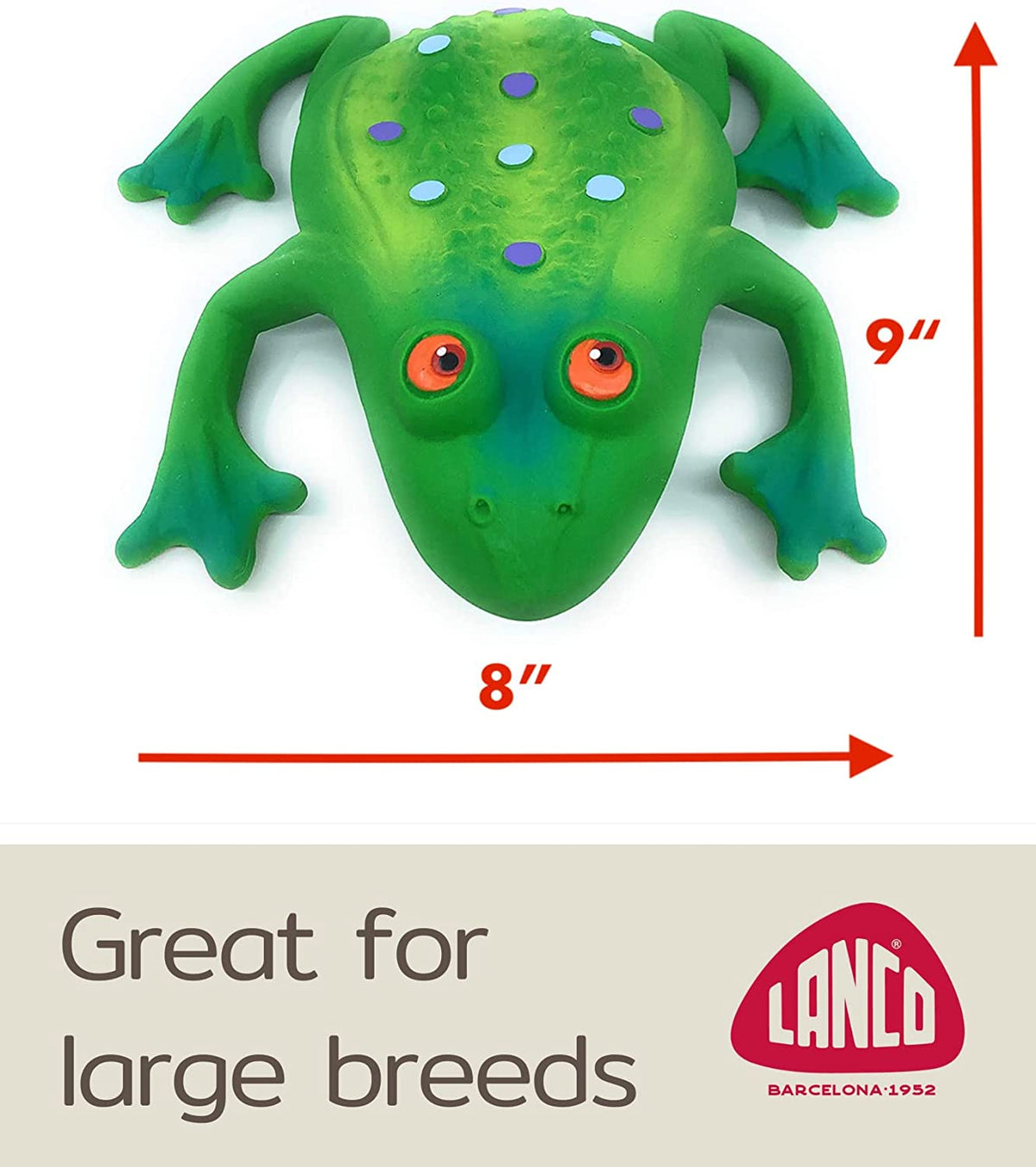 Large Squeaky Frog Dog Toys. 100% Natural Rubber (Latex). Large Breeds Free from Harmful Chemicals. Soft & Squeaky. Best Dog Toy for Large Dog