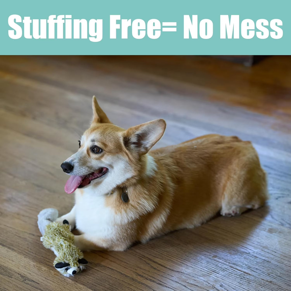 Skinneeez Raccoon Dog Toy – Soft No Stuffing Dog Toy with Squeaker, for Small & Medium Dogs, Best for Light to Moderate Chewers, 14In