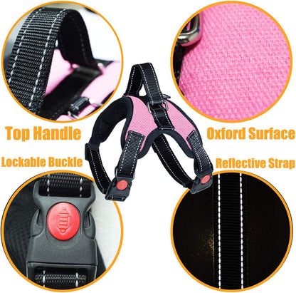 No Pull Dog Harness, Breathable Adjustable Comfort, Free Leash Included, for Small Medium Large Dog, Best for Training Walking